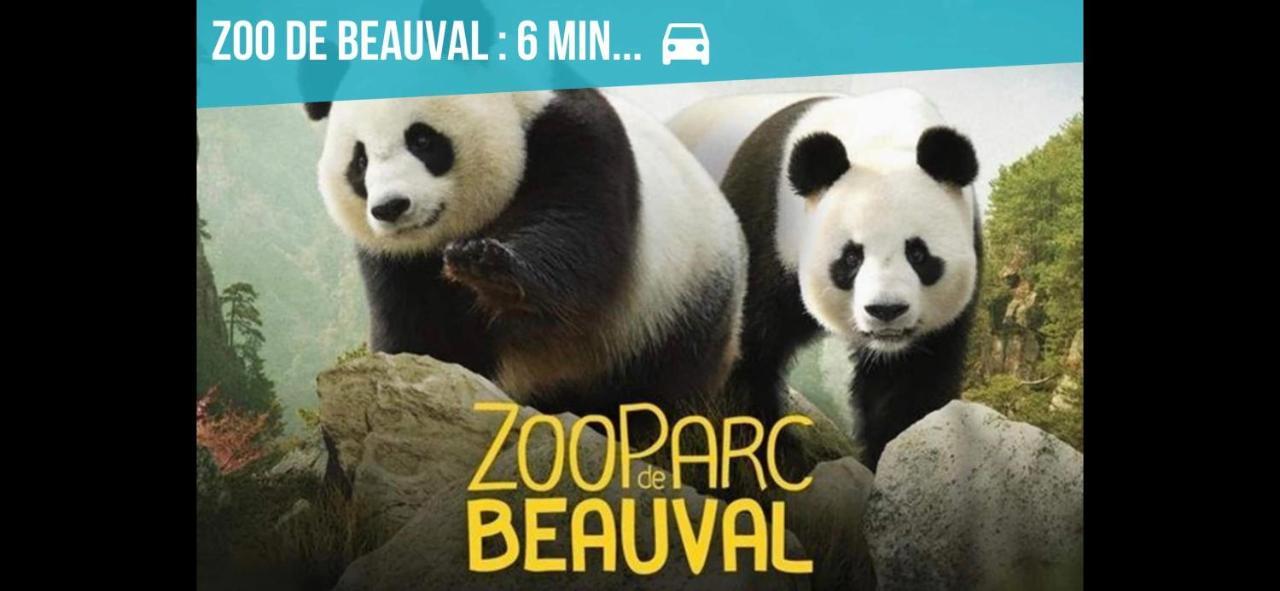 Gite Zooval 9 Personnes, Piscine, A 5 Min Du Zoo De Beauval 谢尔河畔努瓦耶 外观 照片