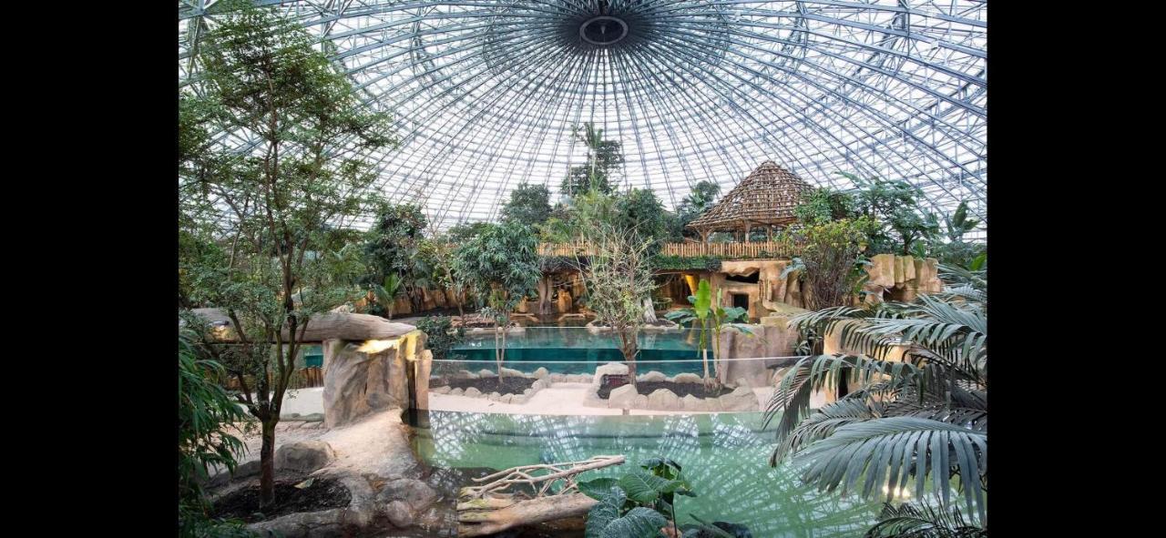 Gite Zooval 9 Personnes, Piscine, A 5 Min Du Zoo De Beauval 谢尔河畔努瓦耶 外观 照片