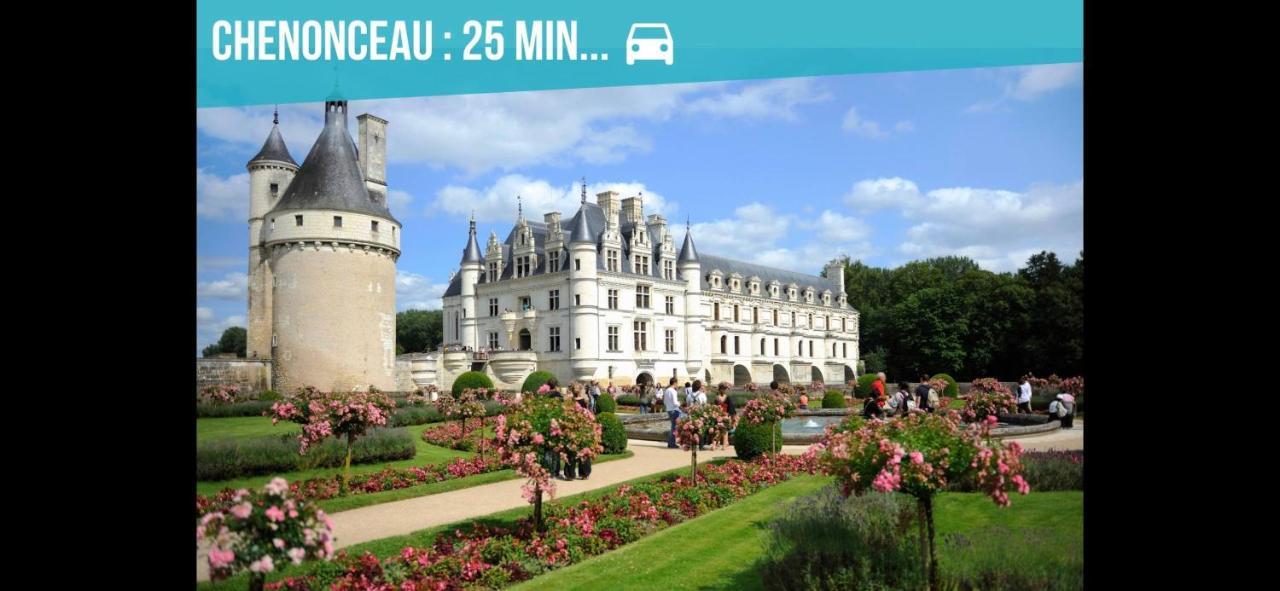 Gite Zooval 9 Personnes, Piscine, A 5 Min Du Zoo De Beauval 谢尔河畔努瓦耶 外观 照片