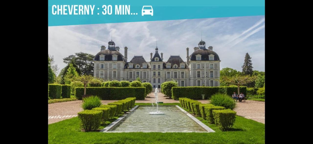 Gite Zooval 9 Personnes, Piscine, A 5 Min Du Zoo De Beauval 谢尔河畔努瓦耶 外观 照片